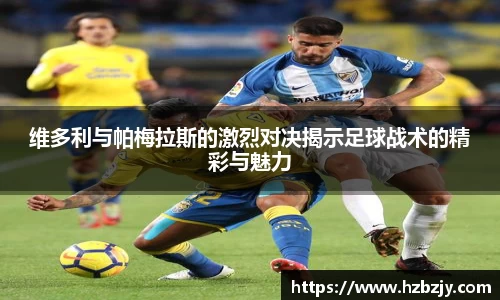 飞禽走兽金鲨银鲨